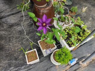 이민희님의 자유주제 · 사진전 작성글 사진