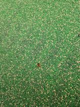 팜모닝 5월 농사계획 공유하기·참여글 게시글 이미지