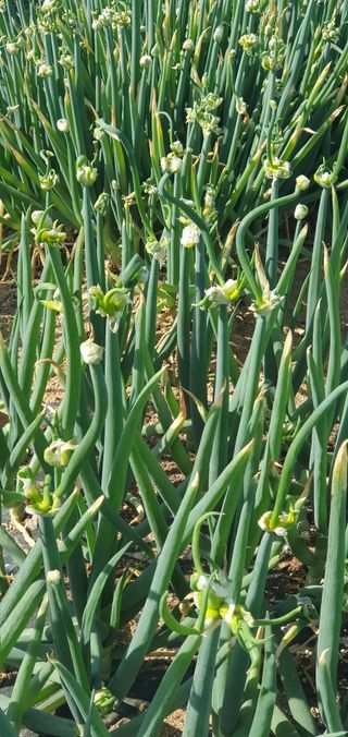 김익중님의 자유주제 · 건의해요 작성글 사진