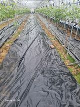 팜모닝 자유주제·자유게시판 게시글 이미지