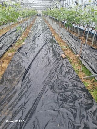 귀농대박님의 자유주제 · 자유게시판 작성글 사진