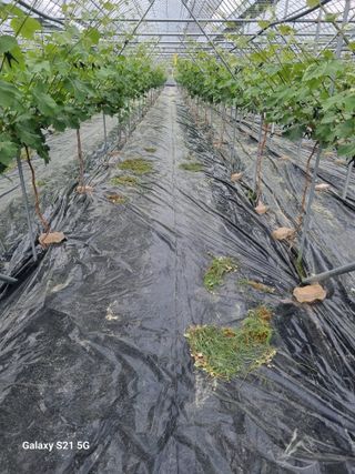 귀농대박님의 자유주제 · 자유게시판 작성글 사진