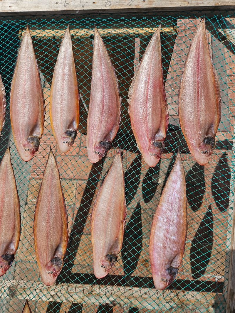 장터 상품 [서대 10미] 썸네일