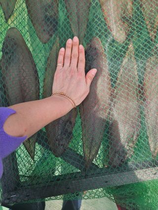 박주현님의 작성글 사진