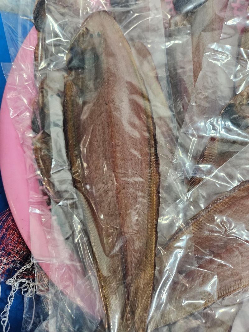 박주현님의 장터 판매 상품 [서대 10미] 첨부 사진