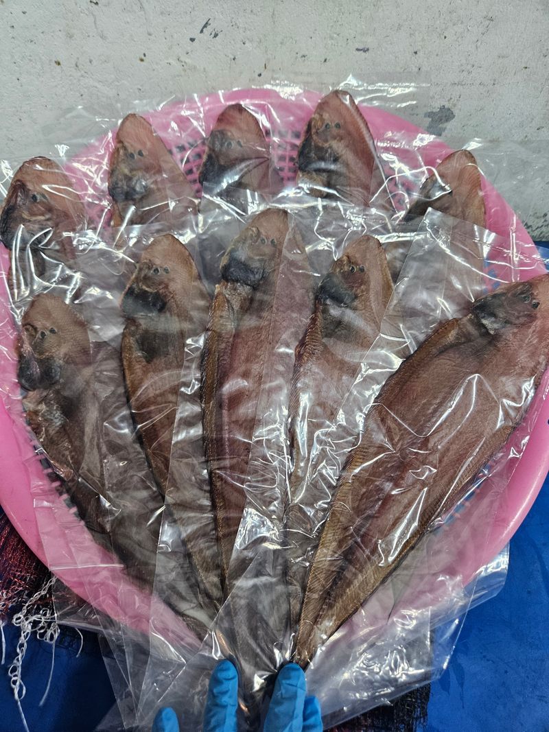 박주현님의 장터 판매 상품 [서대 10미] 첨부 사진