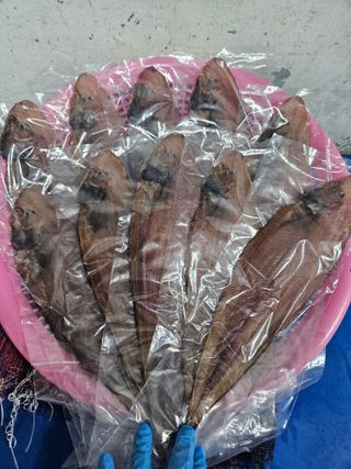 박주현님의 작성글 사진