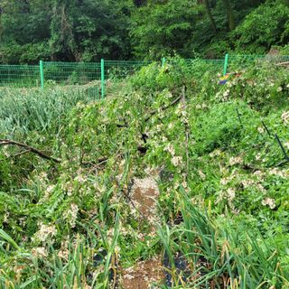 이창화님의 자유주제 · 자유게시판 작성글 사진