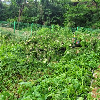 이창화님의 자유주제 · 자유게시판 작성글 사진