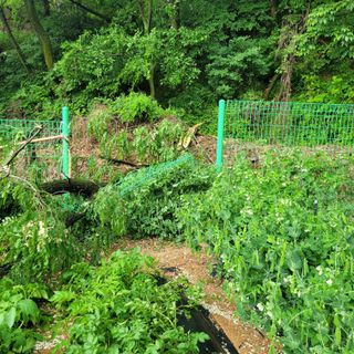 이창화님의 자유주제 · 자유게시판 작성글 사진