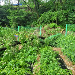 이창화님의 자유주제 · 자유게시판 작성글 사진