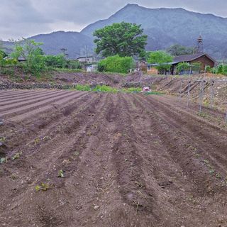 오남현님의 5월 농사계획 공유하기 · 참여글 작성글 사진