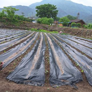 오남현님의 5월 농사계획 공유하기 · 참여글 작성글 사진