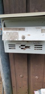 팜모닝 자유주제·자유게시판 게시글 이미지