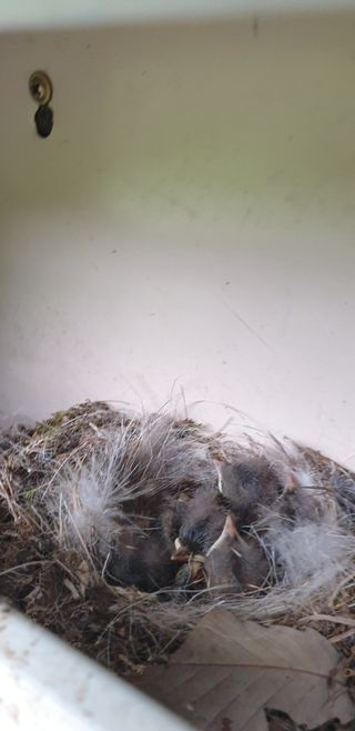 알 수 없음님의 자유주제 · 자유게시판 작성글 사진