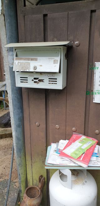 알 수 없음님의 자유주제 · 자유게시판 작성글 사진