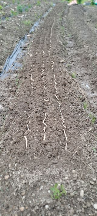 김도연님의 자유주제 · 자유게시판 작성글 사진