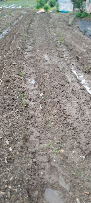 김도연님의 자유주제 · 자유게시판 작성글 사진