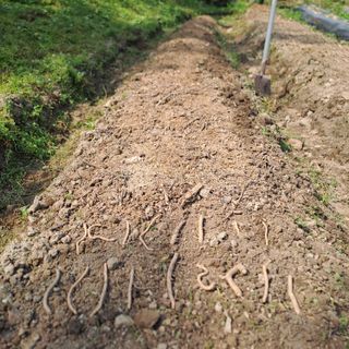 김도연님의 자유주제 · 자유게시판 작성글 사진