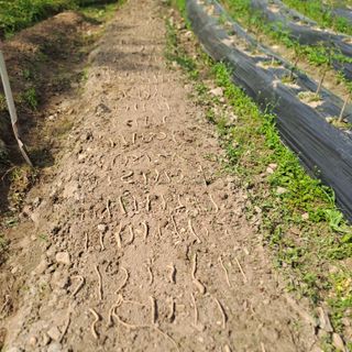 김도연님의 자유주제 · 자유게시판 작성글 사진