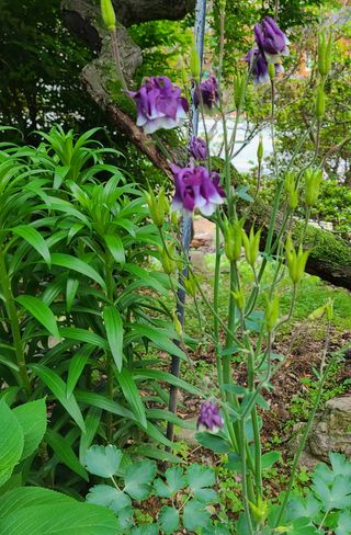 knlee님의 자유주제 · 자유게시판 작성글 사진