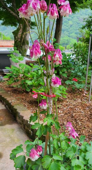 knlee님의 자유주제 · 자유게시판 작성글 사진