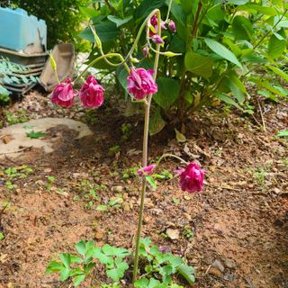 knlee님의 자유주제 · 자유게시판 작성글 사진