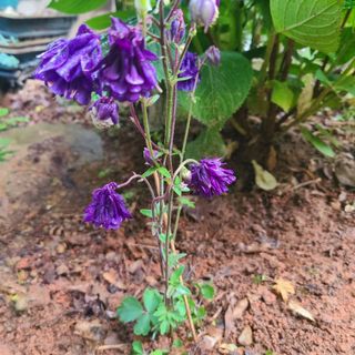 knlee님의 자유주제 · 자유게시판 작성글 사진