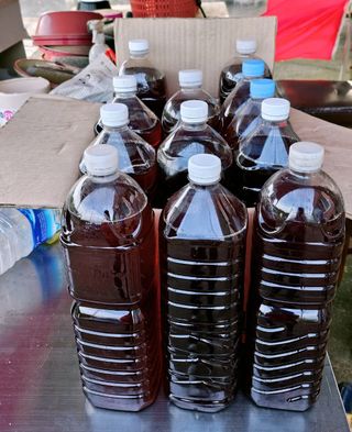 신선옥님의 작성글 사진