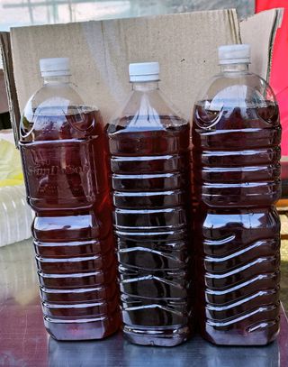 신선옥님의 작성글 사진