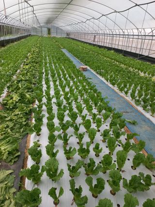 농민님의 5월 농사계획 공유하기 · 참여글 작성글 사진