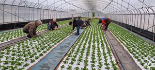 농민님의 5월 농사계획 공유하기 · 참여글 작성글 사진