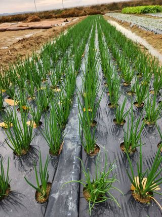 갑돌이님의 자유주제 · 자유게시판 작성글 사진
