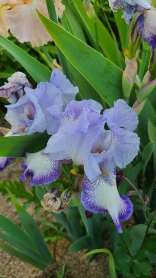 최영희님의 자유주제 · 자유게시판 작성글 사진