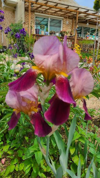 최영희님의 자유주제 · 자유게시판 작성글 사진