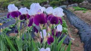 최영희님의 자유주제 · 자유게시판 작성글 사진