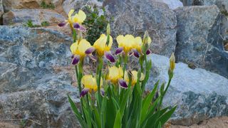 최영희님의 자유주제 · 자유게시판 작성글 사진