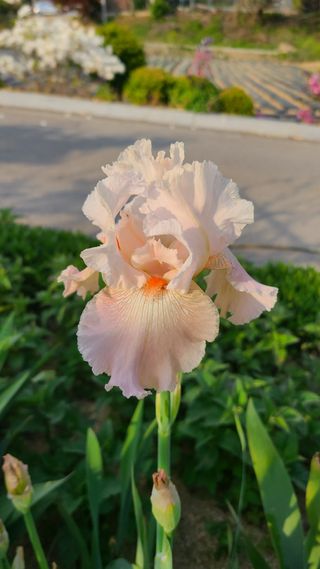 최영희님의 자유주제 · 자유게시판 작성글 사진