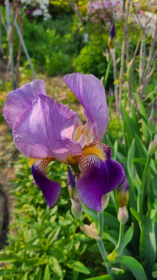 최영희님의 자유주제 · 자유게시판 작성글 사진