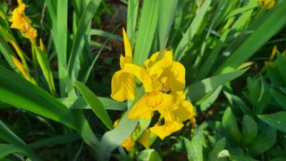 최영희님의 자유주제 · 자유게시판 작성글 사진