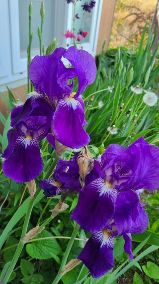 최영희님의 자유주제 · 자유게시판 작성글 사진