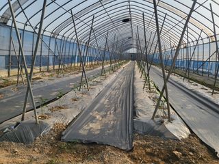 호영님의 5월 농사계획 공유하기 · 참여글 작성글 사진