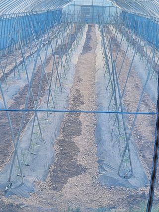 호영님의 5월 농사계획 공유하기 · 참여글 작성글 사진