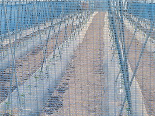 호영님의 5월 농사계획 공유하기 · 참여글 작성글 사진