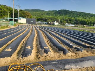 호영님의 5월 농사계획 공유하기 · 참여글 작성글 사진