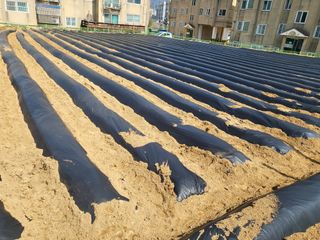 호영님의 5월 농사계획 공유하기 · 참여글 작성글 사진