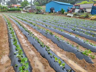 호영님의 5월 농사계획 공유하기 · 참여글 작성글 사진