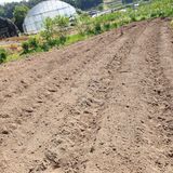 팜모닝 5월 농사계획 공유하기·참여글 게시글 이미지