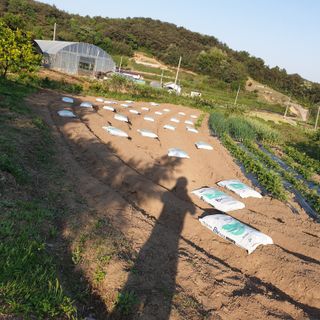 심창규 님의 5월 농사계획 공유하기 · 참여글 작성글 사진