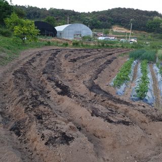 심창규 님의 5월 농사계획 공유하기 · 참여글 작성글 사진